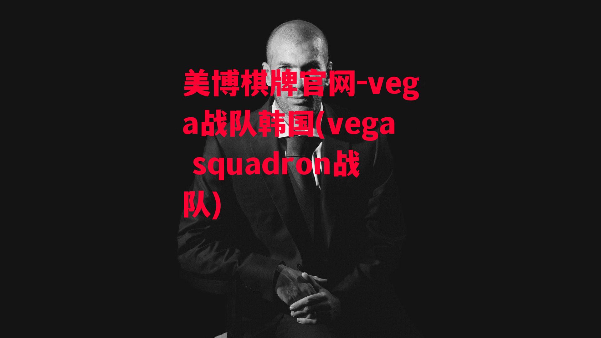 vega战队韩国(vega squadron战队)